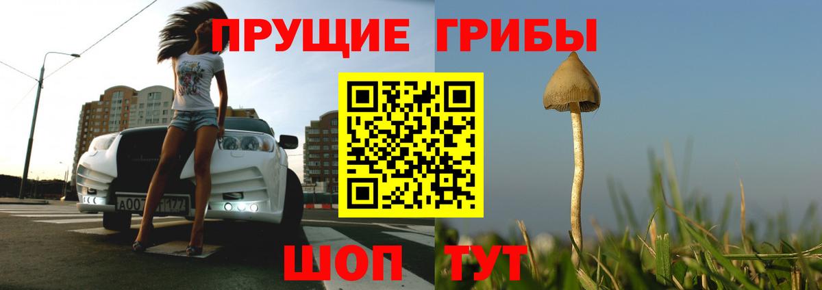 Искитим  Галлюциногенные грибы прущие грибы  Вход с VPN 